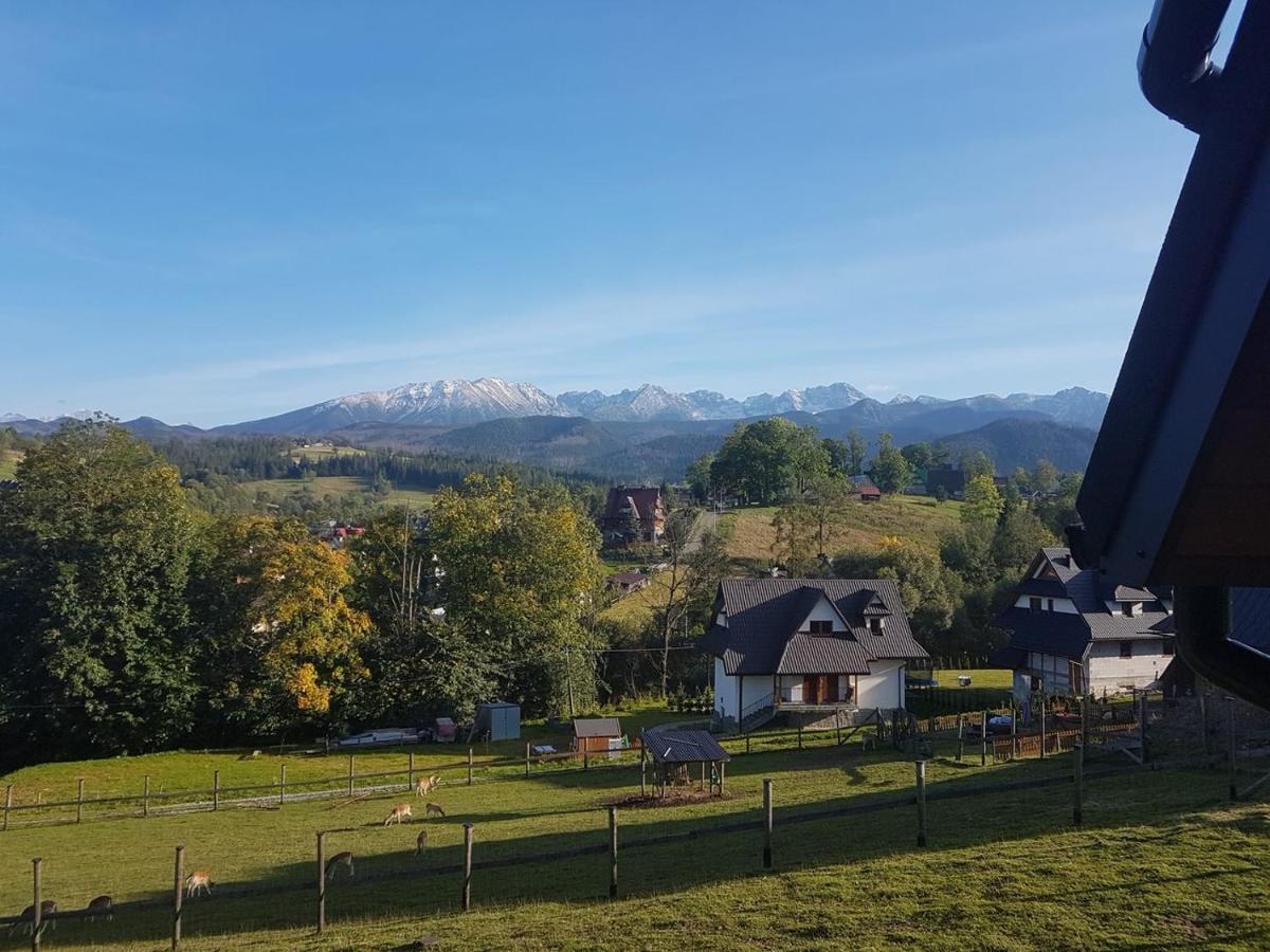 Apartamenty Gorska Mila Apartzakop Zakopane Exteriör bild